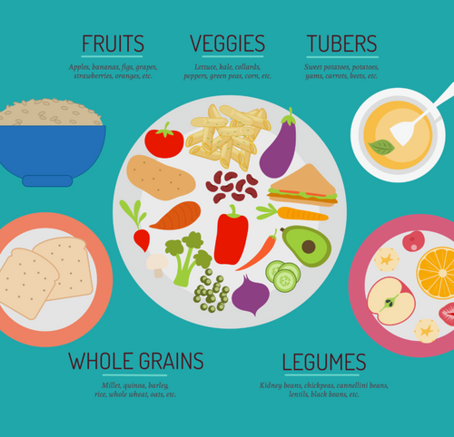 Plant-Based 101: Everything You Want to Know!